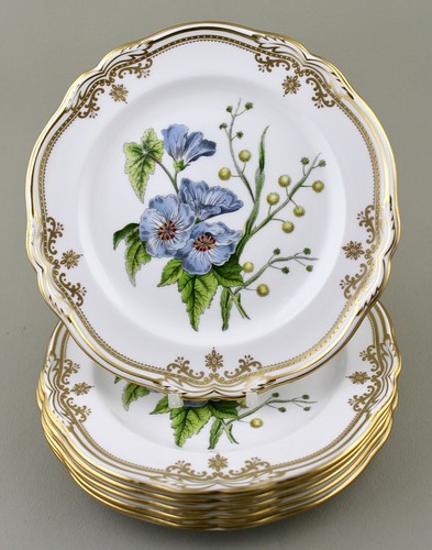 Spode england stafford flowers - england,
