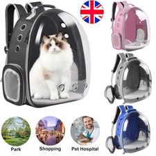 Astronaut Window Dog Cat