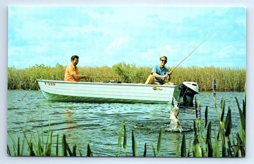 Bass fishing from small - from,