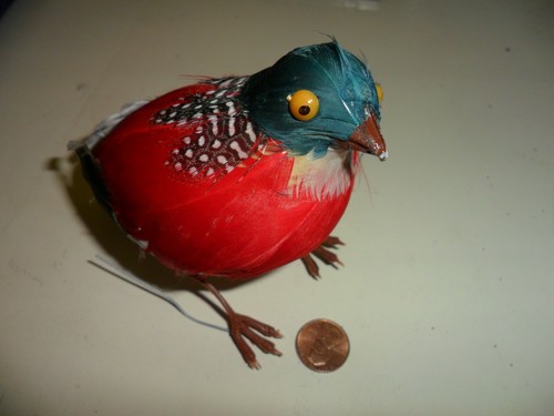 Feathered partridge - feathered,