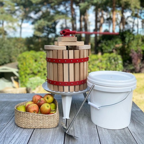 Traditional fruit and apple - fruit,