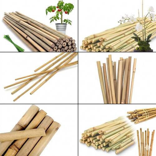 Natural bamboo canes - bamboo,