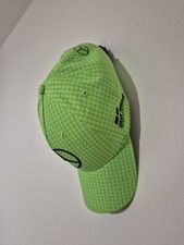 Mercedes AMG Petronas Lewis