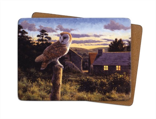 Barn owl dusk table - owl, |