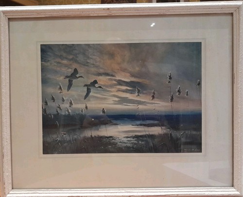 Peter scott pair teal - peter,
