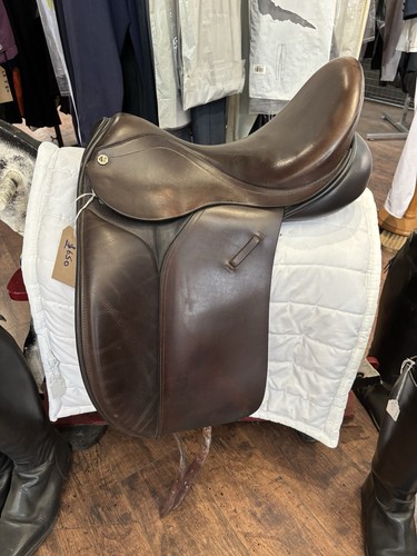 Stunning brown barnsby - stunning,