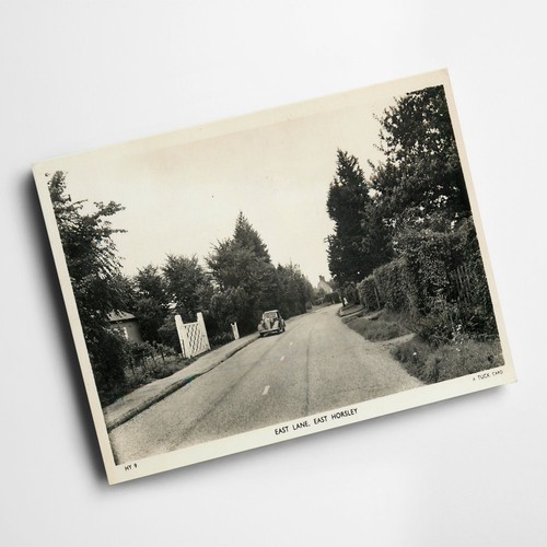 Print vintage surrey - vintage,