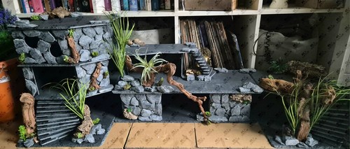 Full vivarium background - full, background,