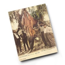 A4 PRINT - Vintage Florida USA