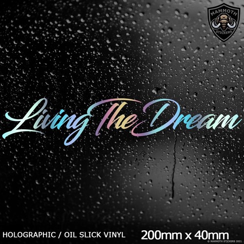Living the dream funny - funny, car