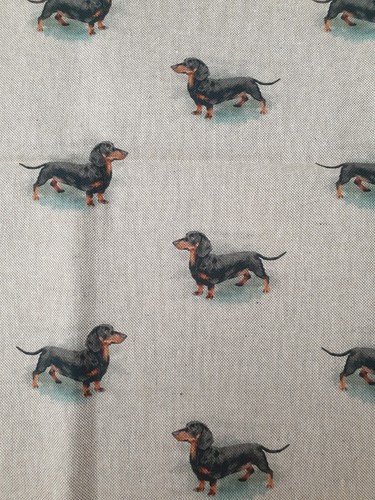 Dachshund fabric metre - dachshund,
