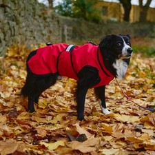 Danish Design 3 in 1 Dog Coat