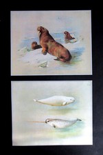ARCHIBALD THORBURN  TWO