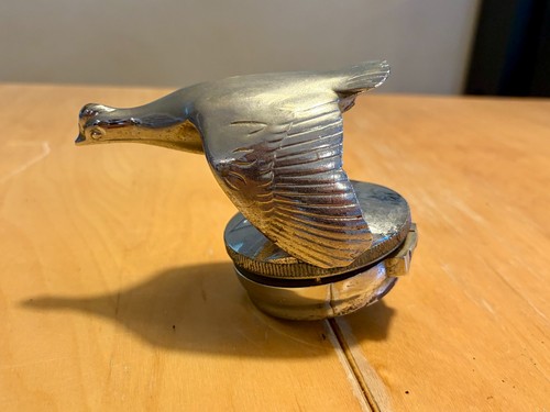 Flying quail radiator - , cap