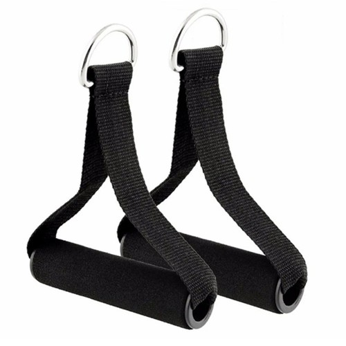 Exercise handles gym - exercise,