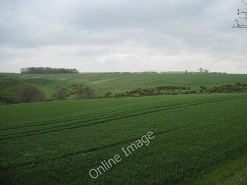 Photo 6x4 arable - photo, and