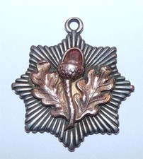 1910 Cheshire Regiment