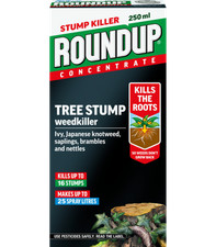 Tree stump killer root - root,