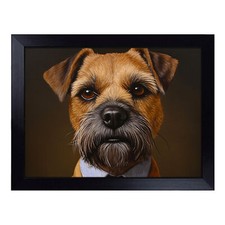 1 x Border Terrier In A Suit