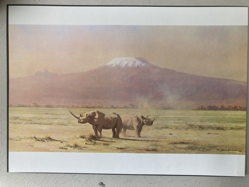 African wildlife print - african,