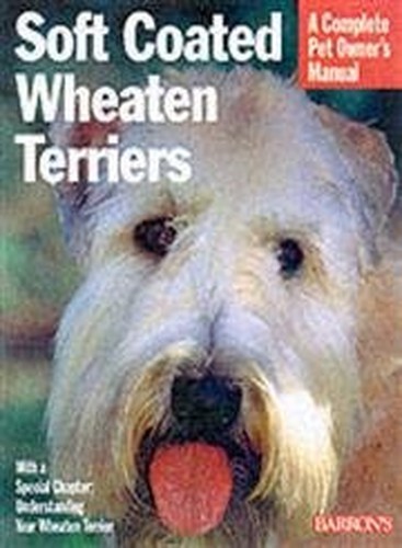 Soft coated wheaten terriers - coated,