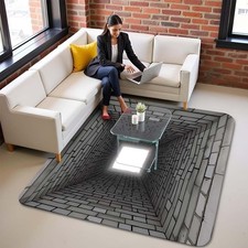 3D Hole Rug, 2026 New Rugs That Look Like a Hole, Dog Gets Scared of 3D Carpet
