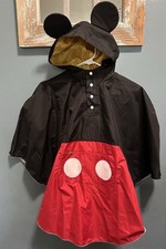 Disney parks mickey mouse - parks,