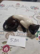 English Made Siamese  Cat