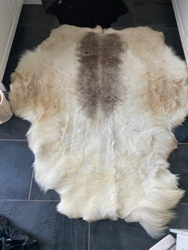 Reindeer rug hide genuine - rug,