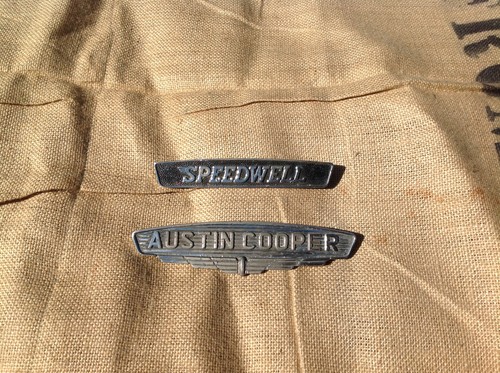 Genuine fray speedwell - genuine,