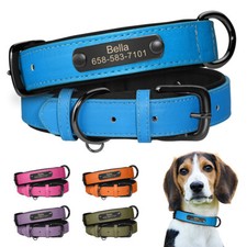 Leather Personalised Dog Collars Padded Custom with Pet Name and Phone Number