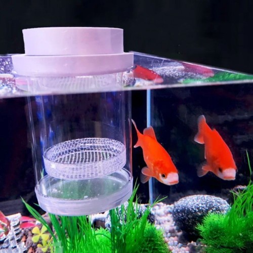 Floating fish breeding - fish,