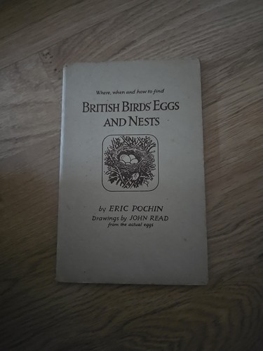 British birds eggs and - birds’,