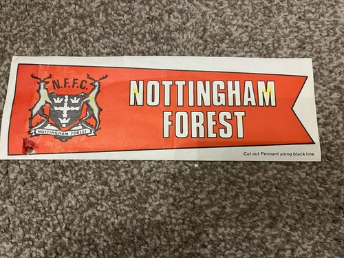 Nottingham forest vintage - forest,