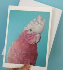 Pink Cockatoo Galah blank