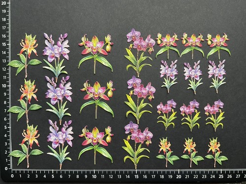 Opulent orchids flower die - opulent,