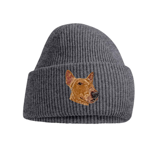 Red bull terrier - terrier, dog