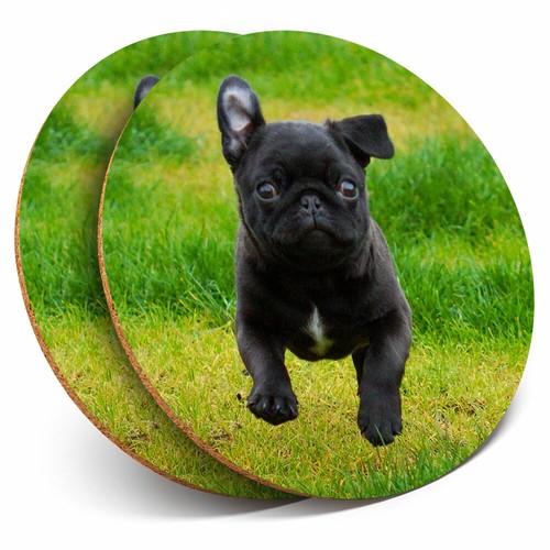 Coasters playful black - 2, x