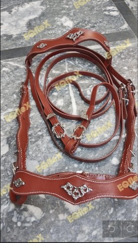 Horse bridle with - bridle, reins