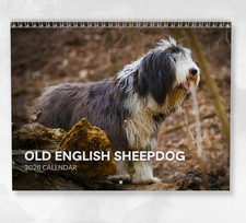 Old English Sheepdog Calendar