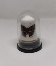 Bedford Butterfly Park Thimble