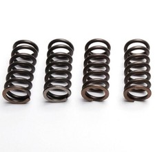 Ebc clutch spring - set, (4
