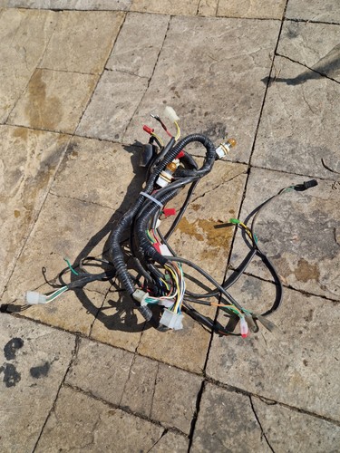 Lexmoto fmr wiring - lexmoto,