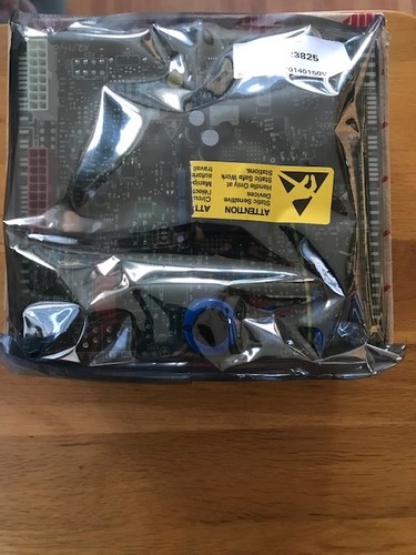 Genuine glow worm - genuine, circuit