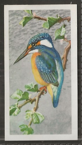 Brooke bond bird - bond, (tea)-bird