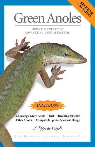 Green anoles from - anoles:,