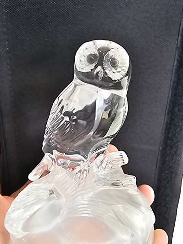 Clear glass owl figurine - owl,