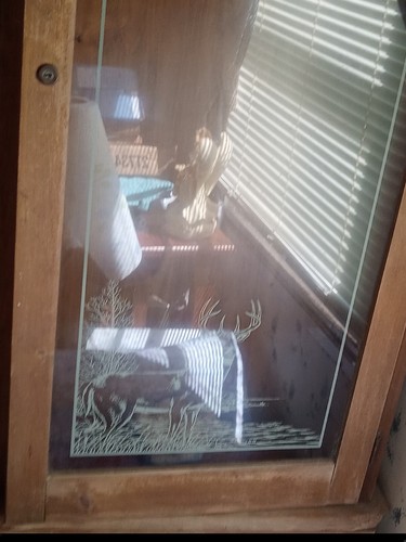 Locking gun cabinet - locking,