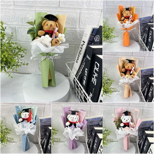 Bear animal graduation - bear,