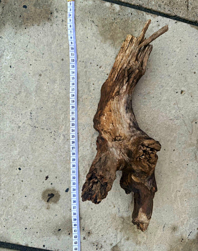 Natural hard driftwood for - hard,